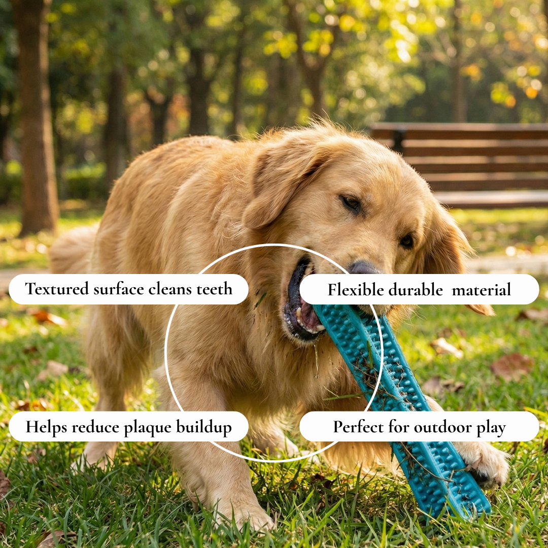 Textured Dental Chew Stick Dog