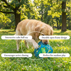 Interactive Cube Tennis Dog Toy