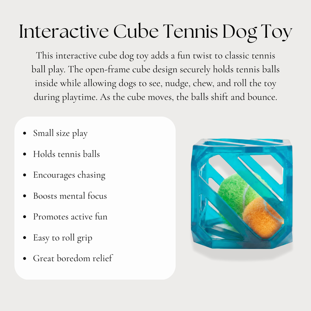 Interactive Cube Tennis Dog Toy