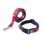 Colorful Leash & Collar Set