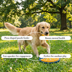 Pizza Puzzle Treat Dog Toy