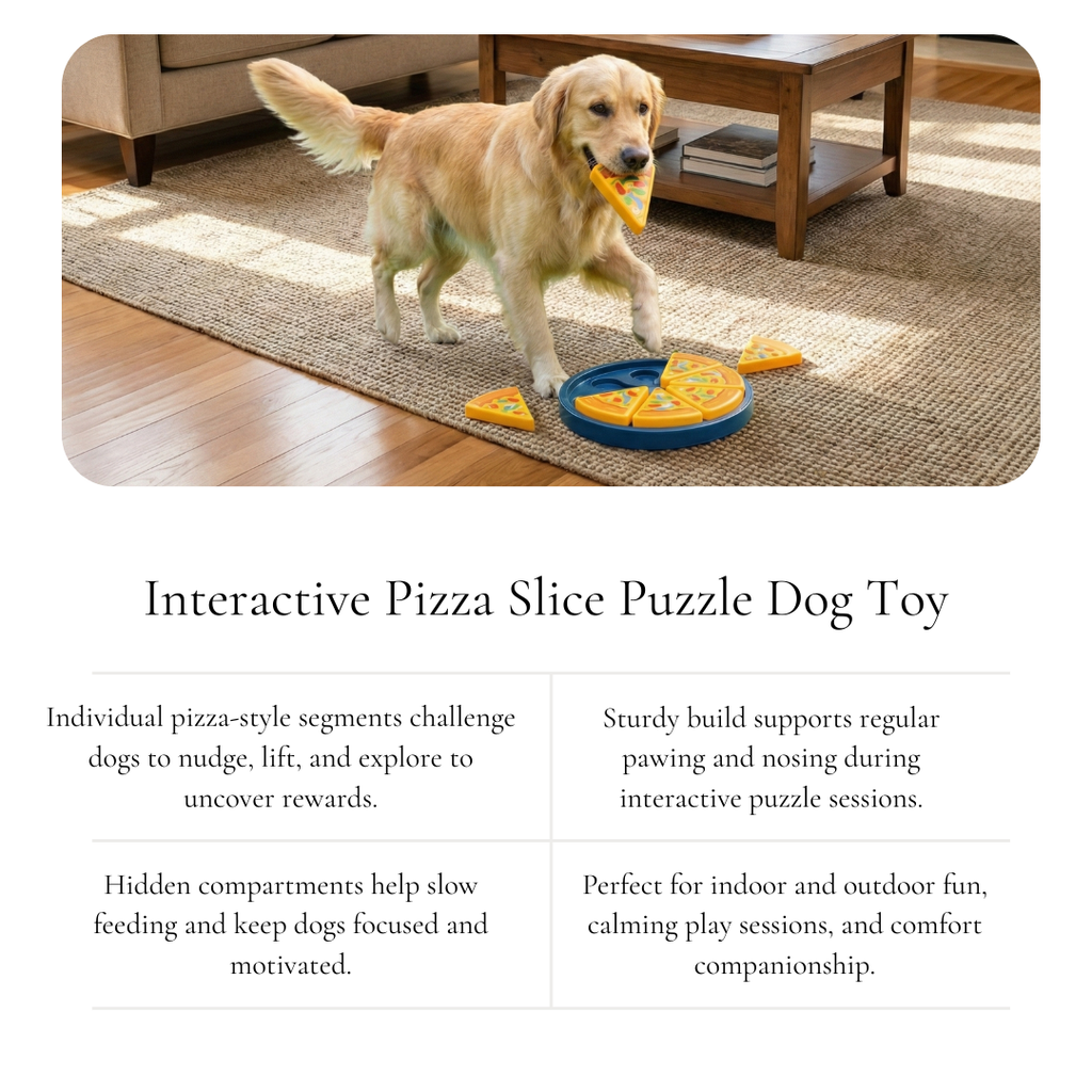 Pizza Puzzle Treat Dog Toy