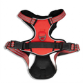 Engonomic Pet Walking Harness
