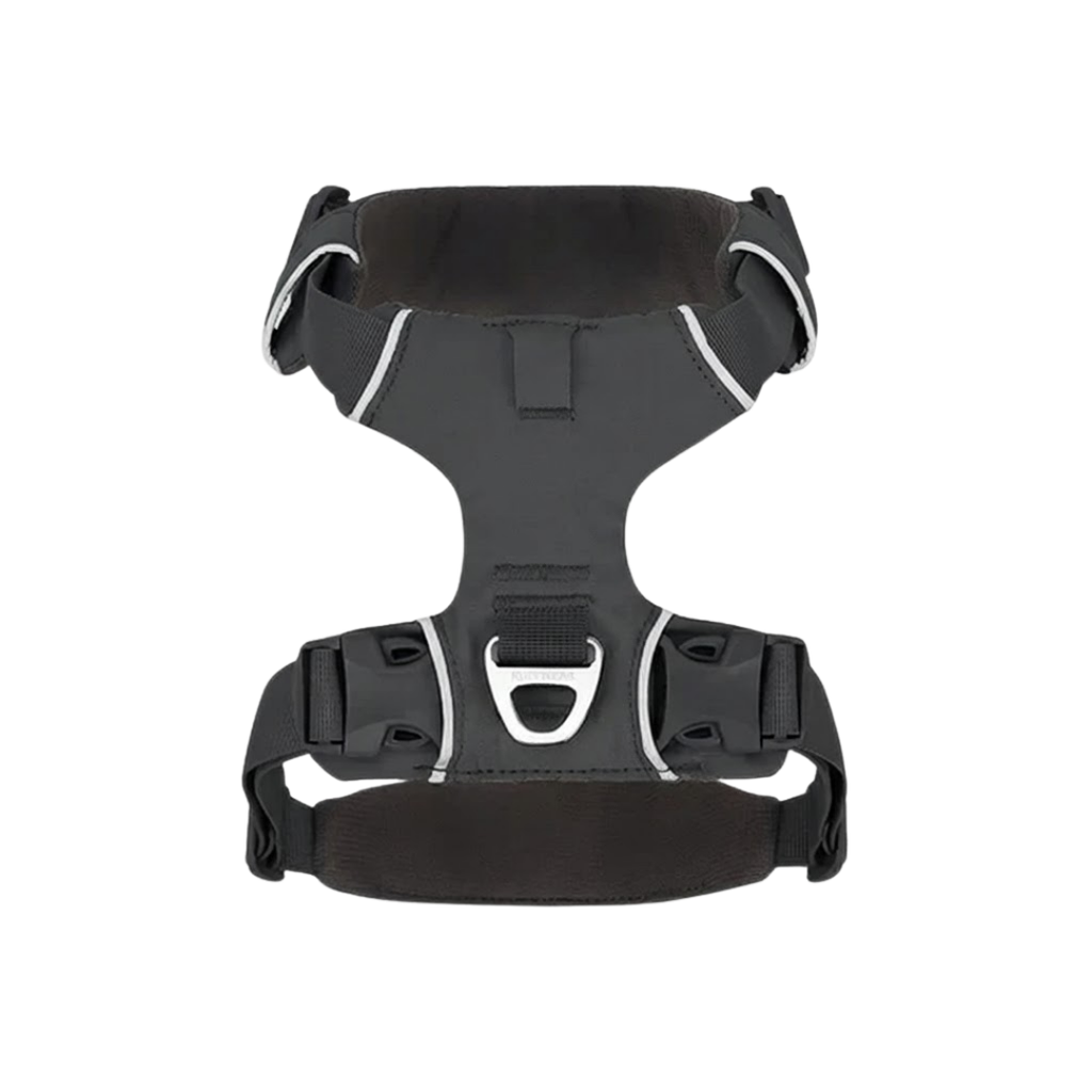 Black Dog Harness with Trim