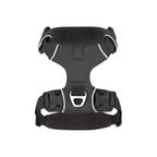 Black Dog Harness with Trim