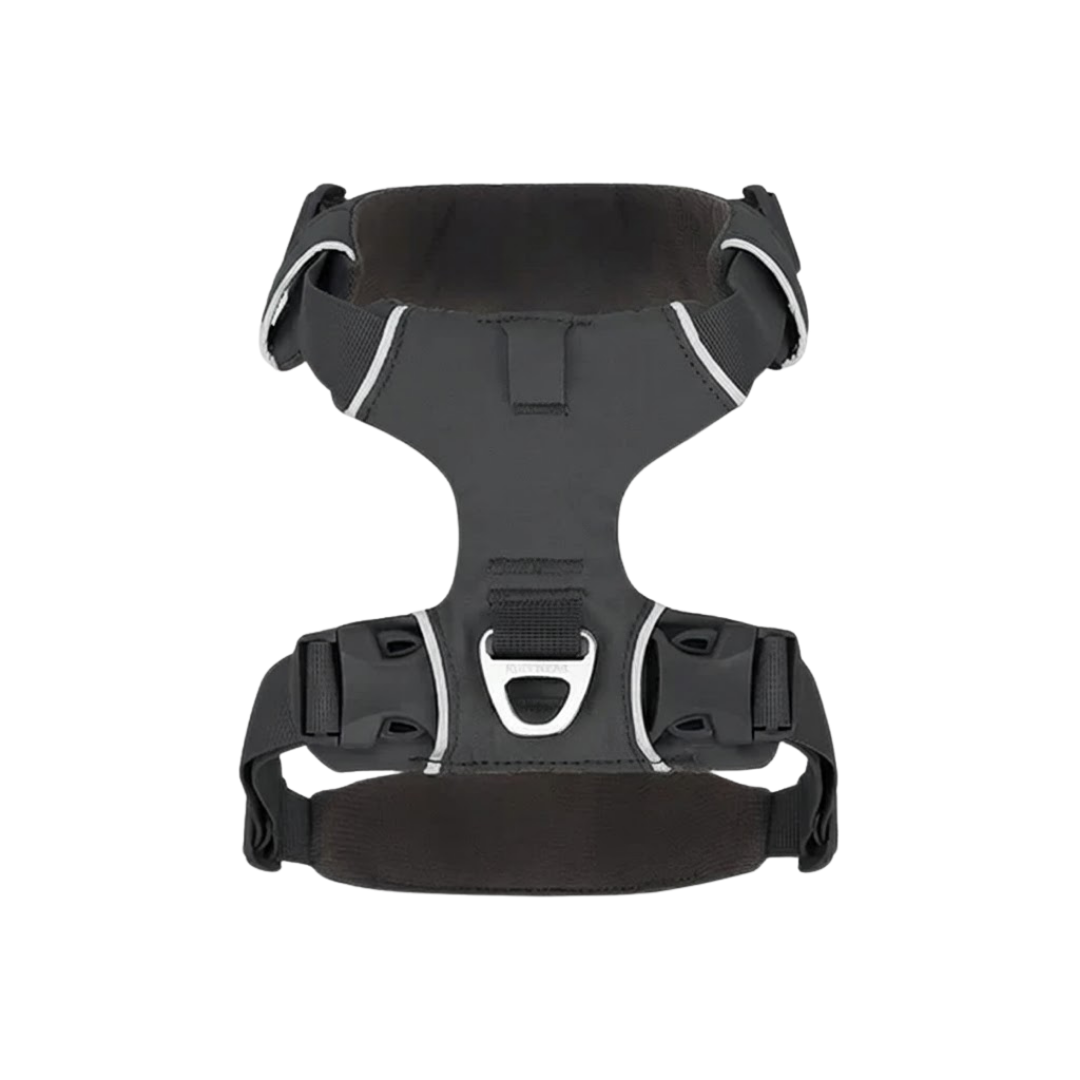 Black Dog Harness with Trim