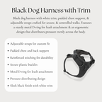 Black Dog Harness with Trim