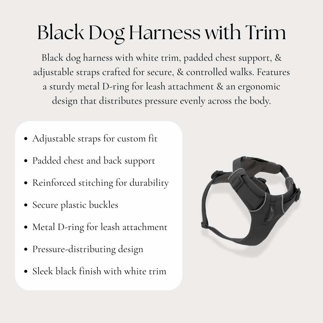 Black Dog Harness with Trim