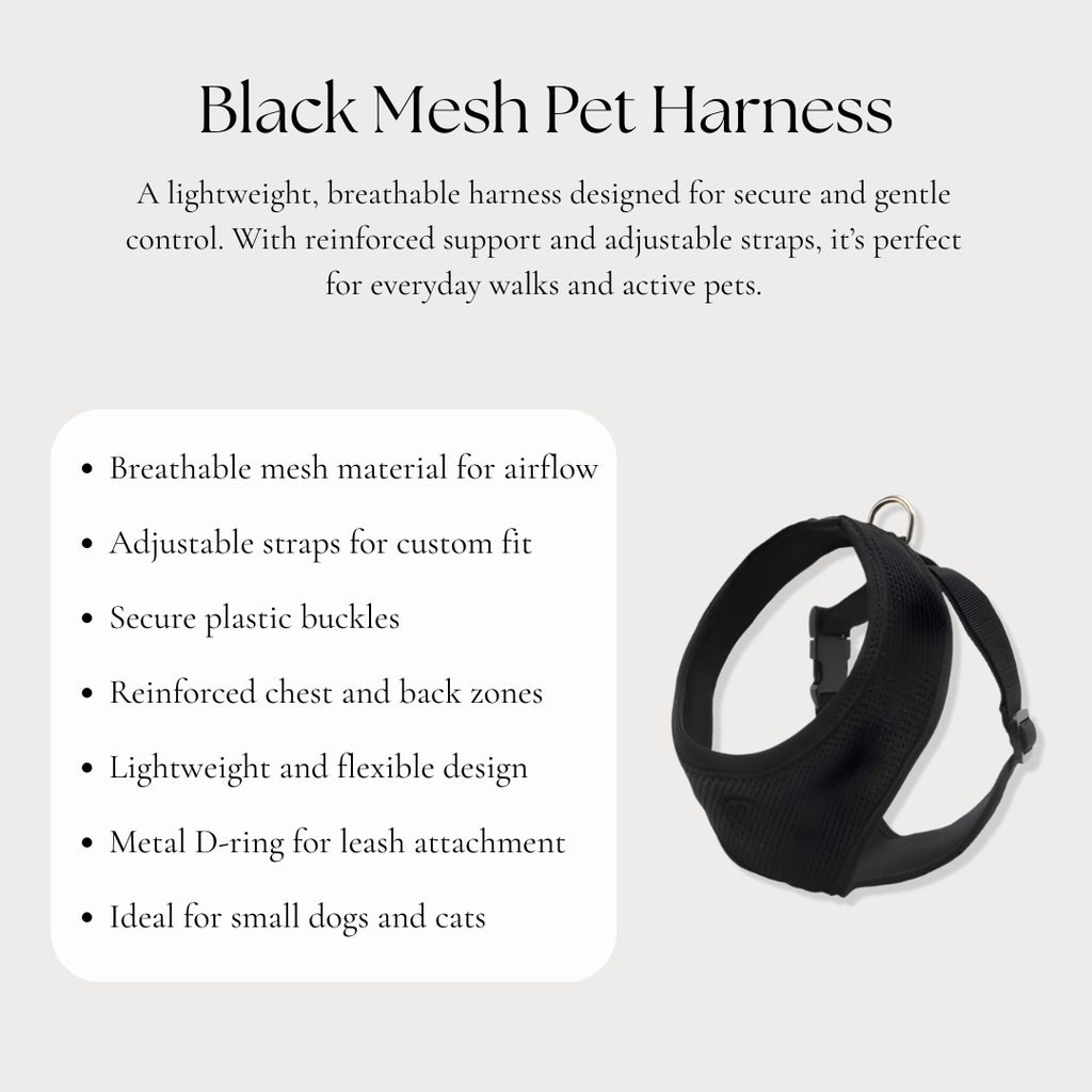 Black Mesh Pet Harness