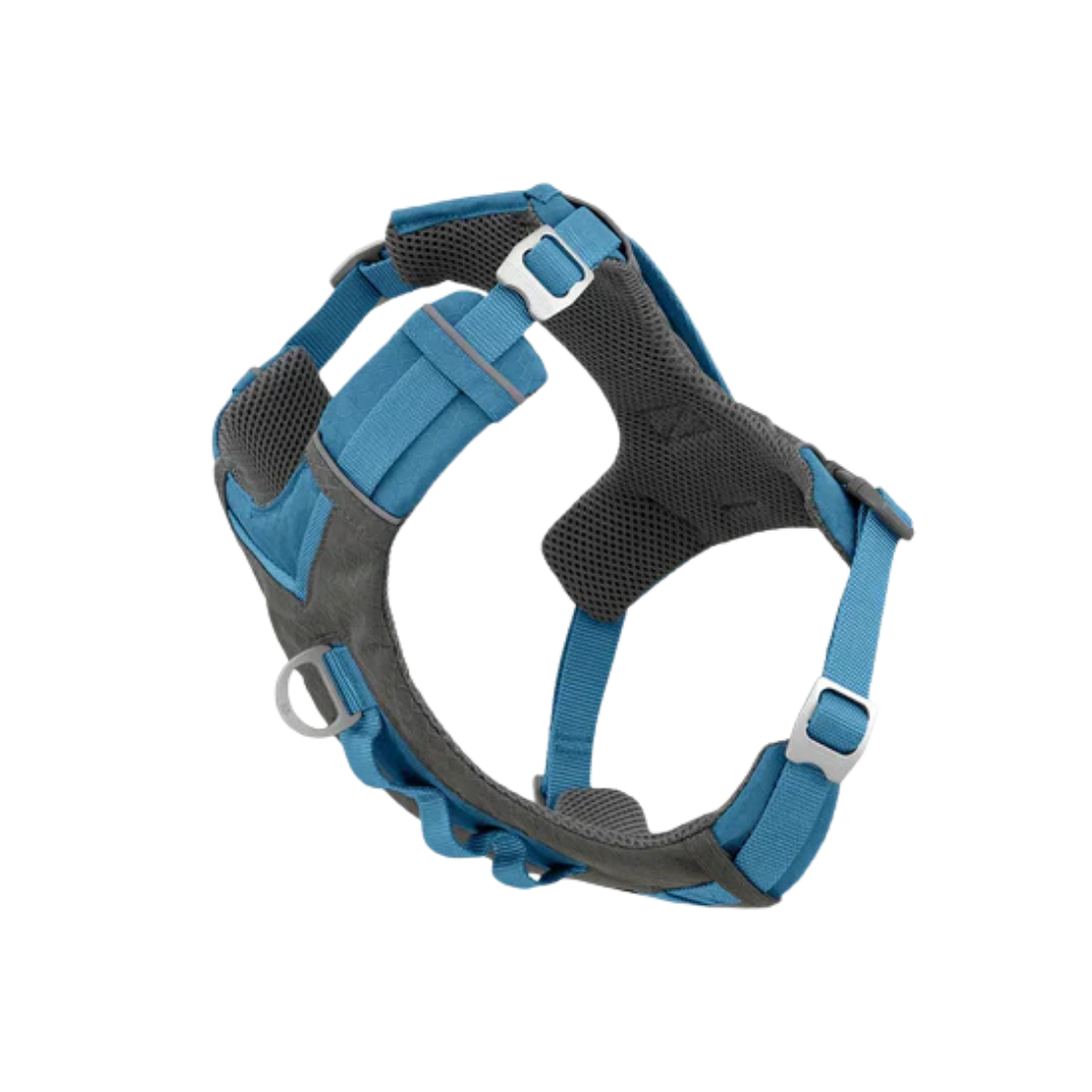 Secure Walking Harness for Pets