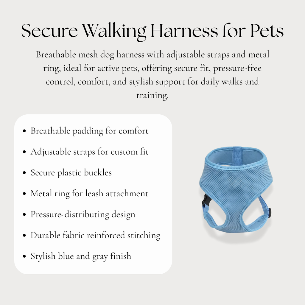 Secure Walking Harness for Pets