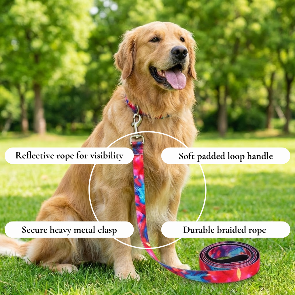 Colorful Leash & Collar Set