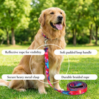 Colorful Leash & Collar Set