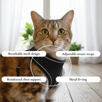 Black Mesh Pet Harness