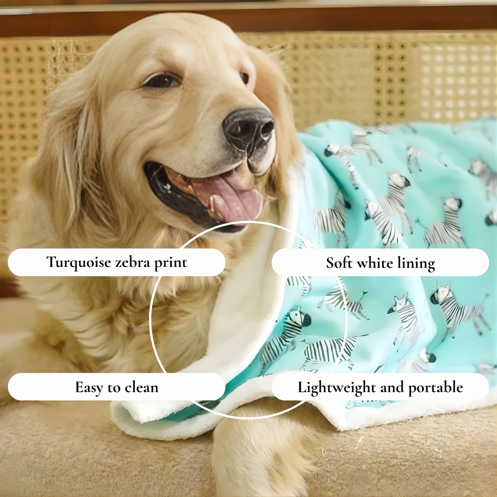 Turquoise Zebra Print Pet Blanket
