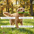 Textured Chew Stick Dog Toy