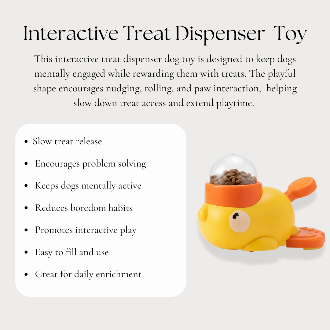 Interactive Treat Dispenser Toy