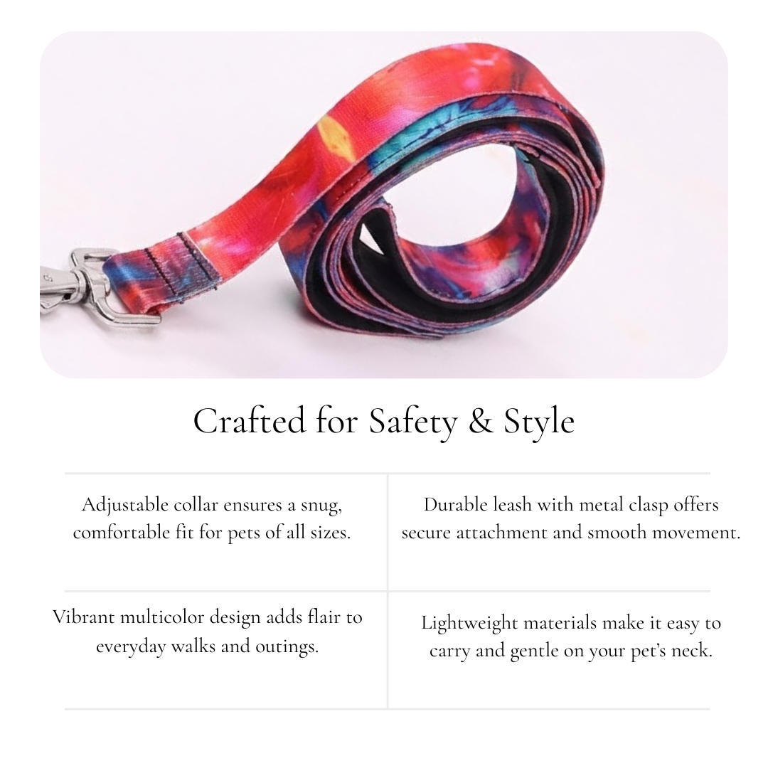 Colorful Leash & Collar Set