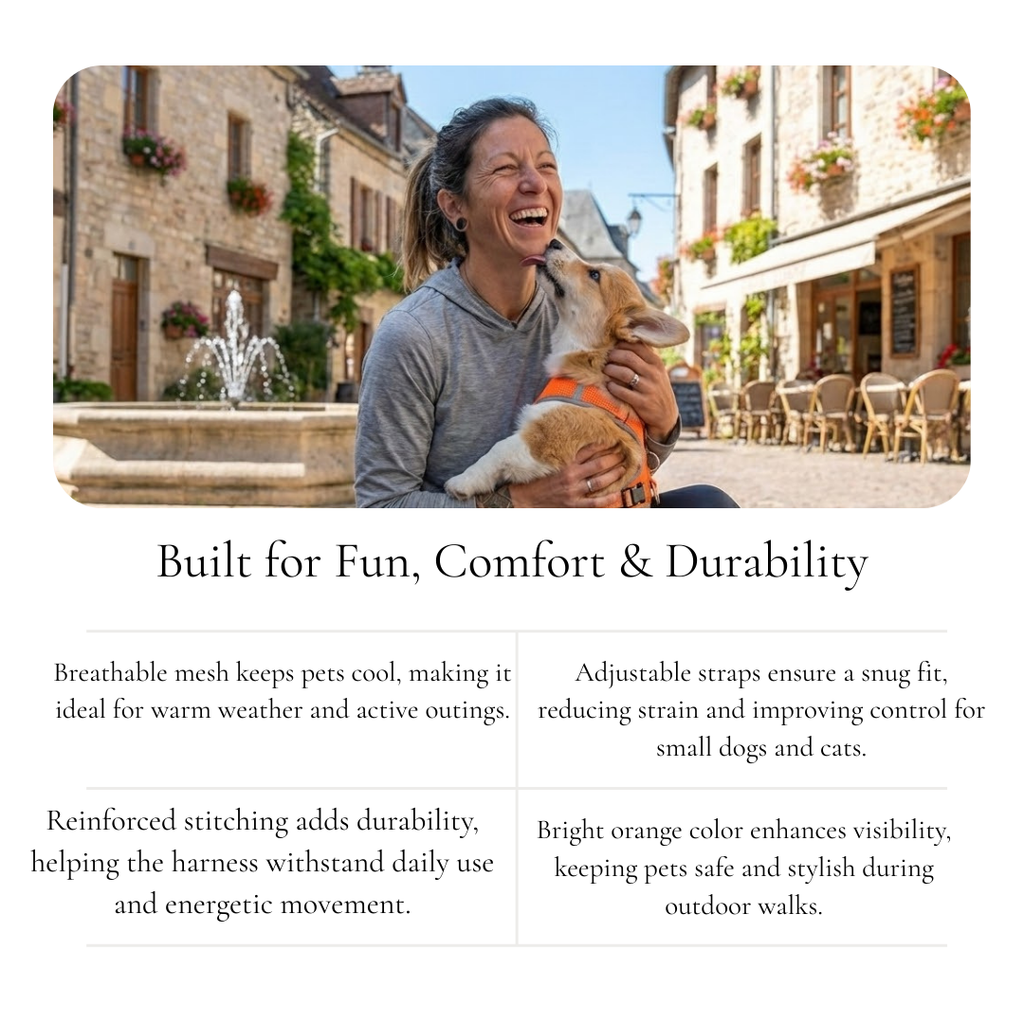 Breathable Harness for Small Pets