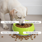 Green Bone Slow Feeder Bowl