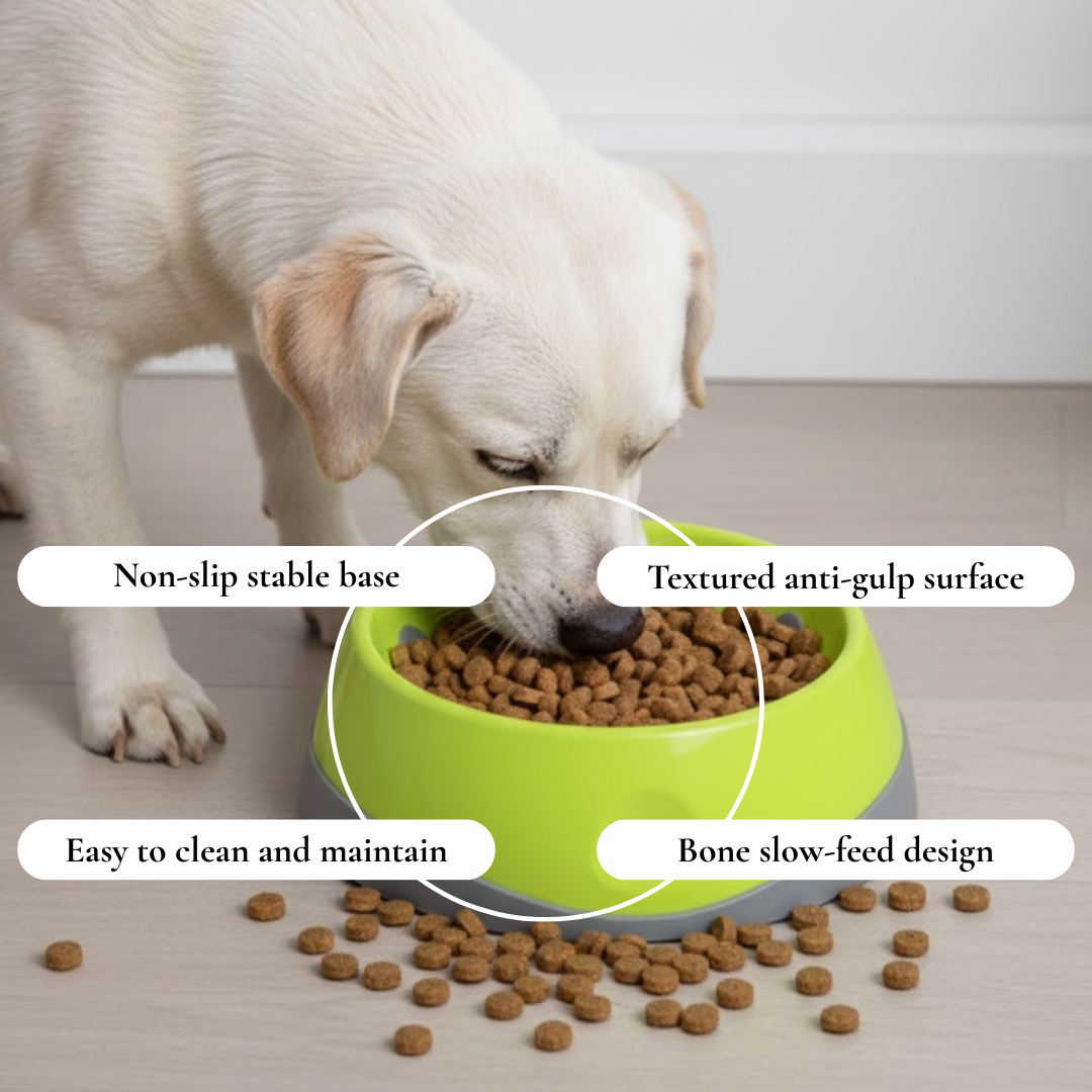 Green Bone Slow Feeder Bowl