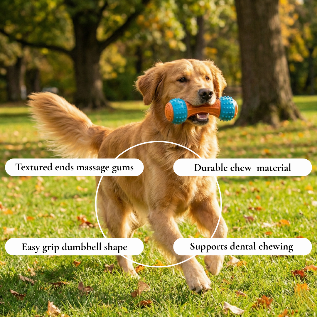 Textured Triple-End Chew Dog Toy