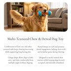 Textured Triple-End Chew Dog Toy