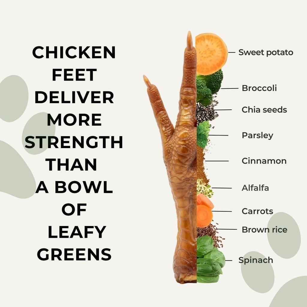 Dehydrated Chicken Feet  | 80g