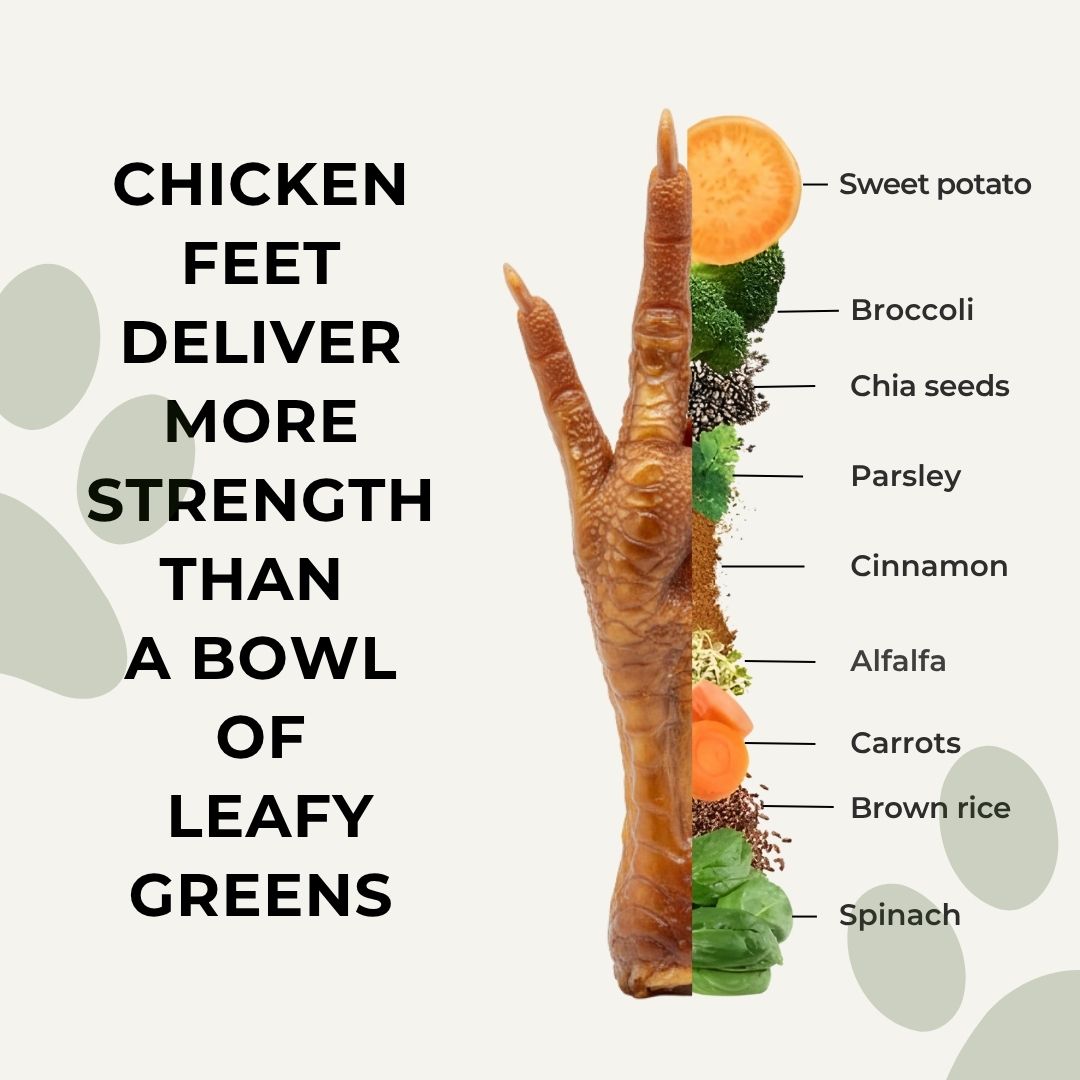 Dehydrated Chicken Feet  | 80g