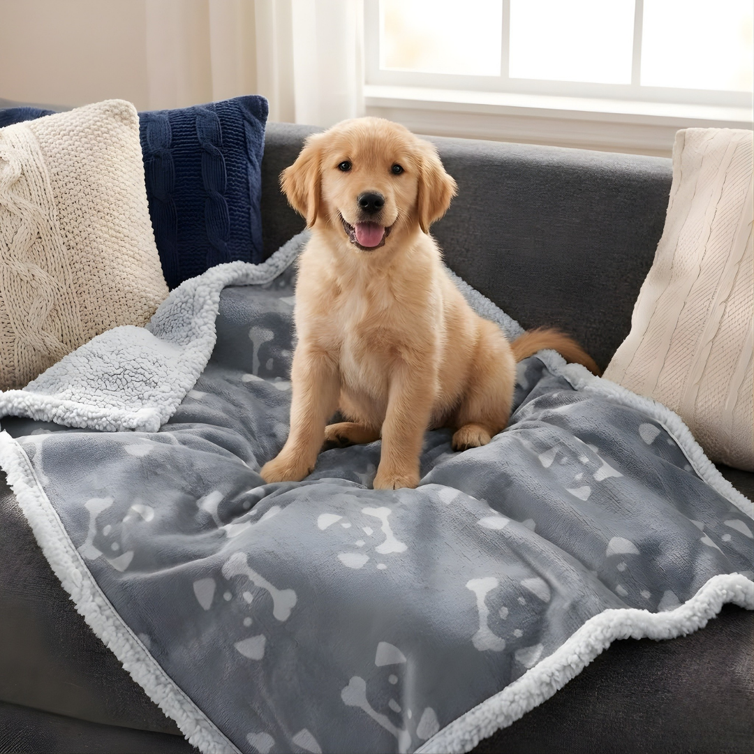 Grey Dog Face Sherpa Pet Blanket