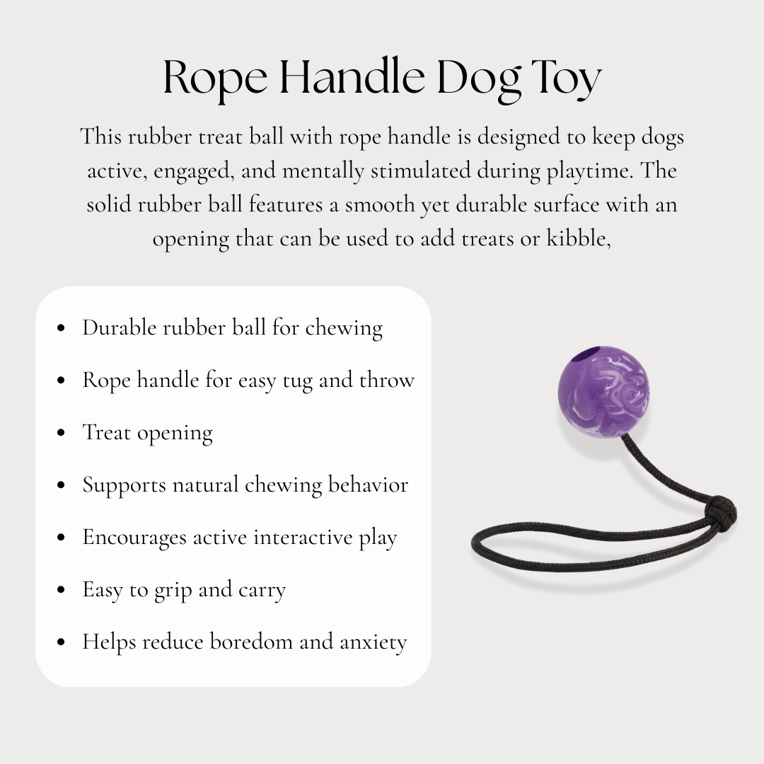 Rope Handle Dog Toy