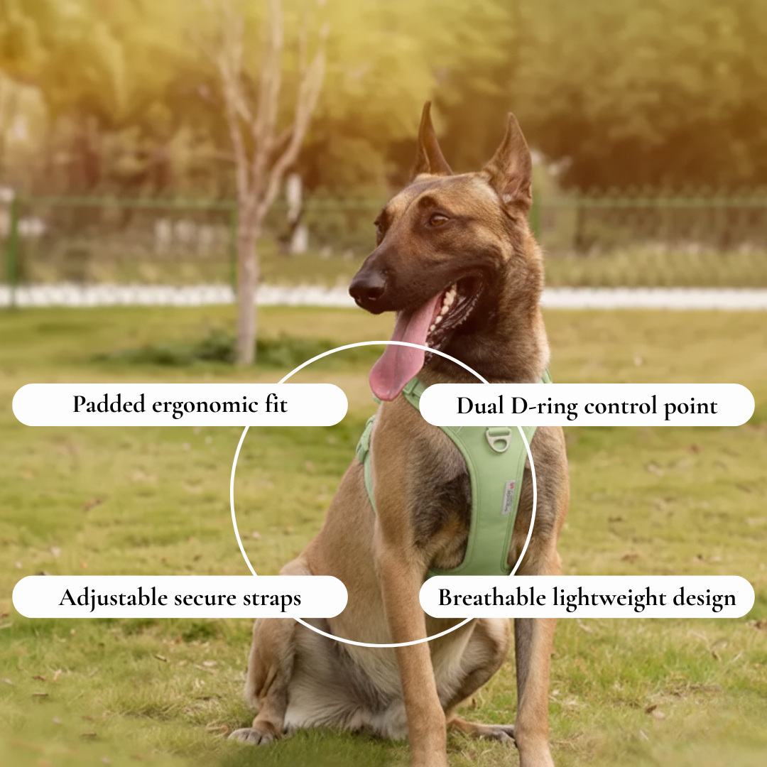 Light Green Padded Control Harness