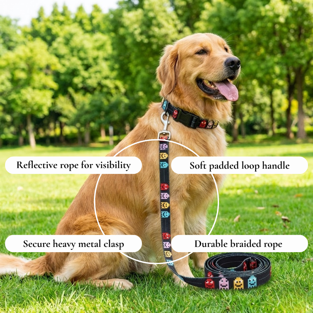 Pixel Ghost Leash & Collar Set