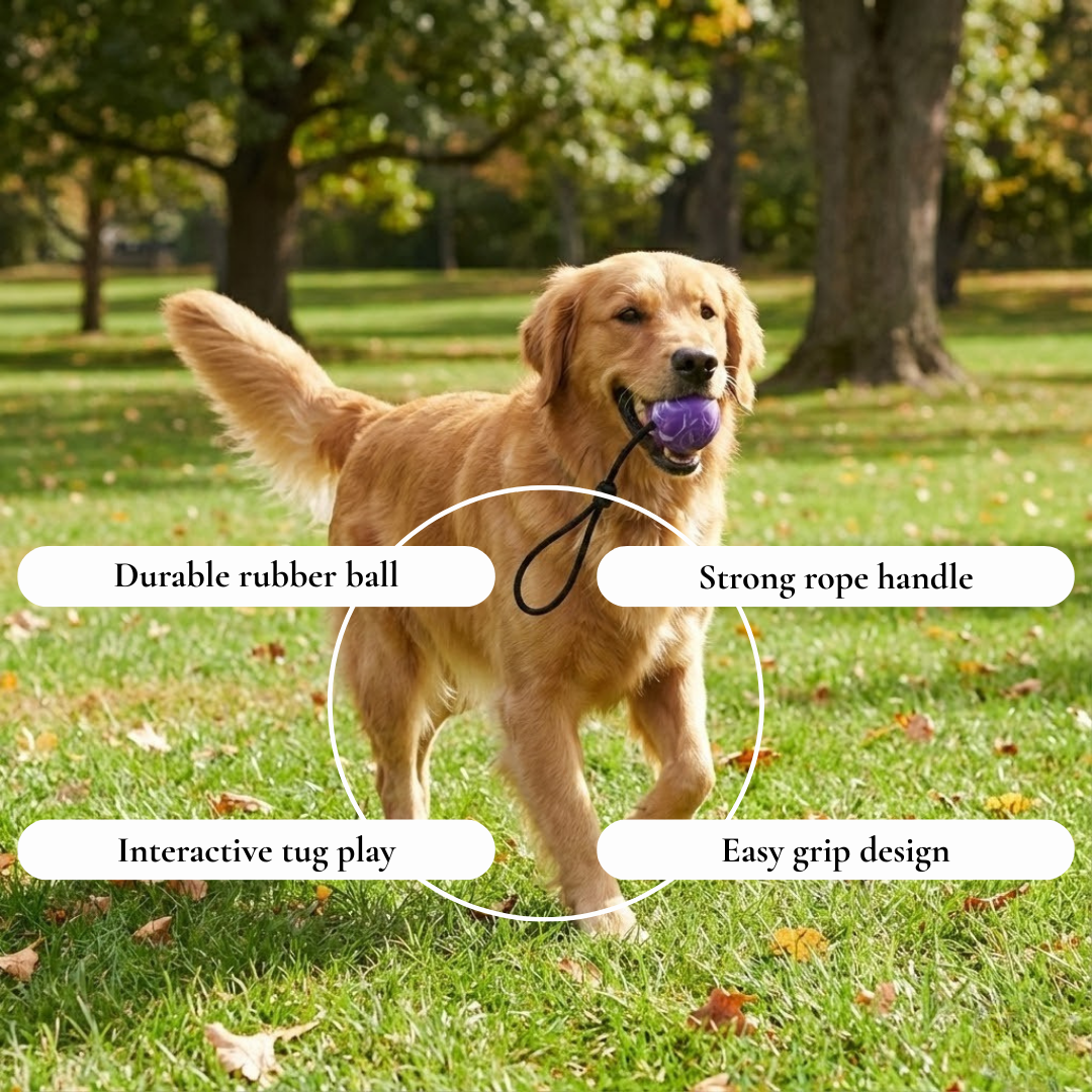 Rope Handle Dog Toy