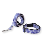 Blue Swirl Leash & Collar Set