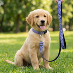 Blue Swirl Leash & Collar Set