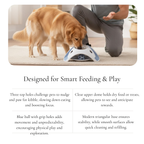 Triangular Interactive Feeder Toy