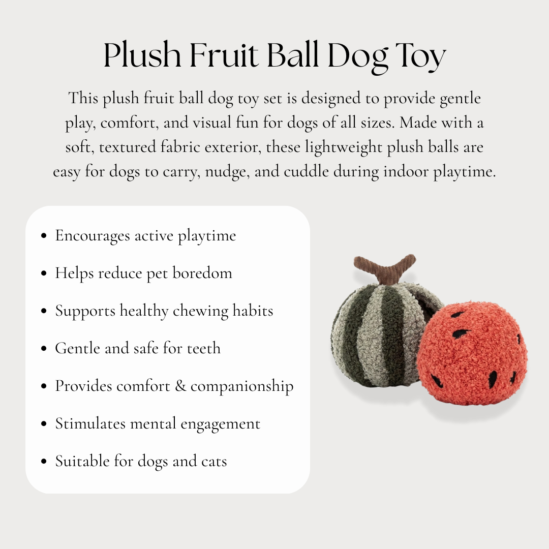 Plush Fruit Ball Dog Toy