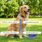 Blue Swirl Leash & Collar Set