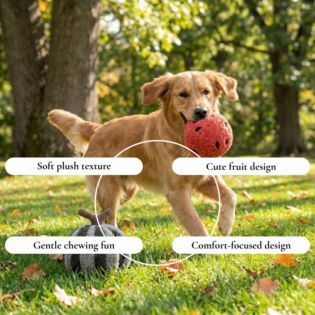Plush Fruit Ball Dog Toy