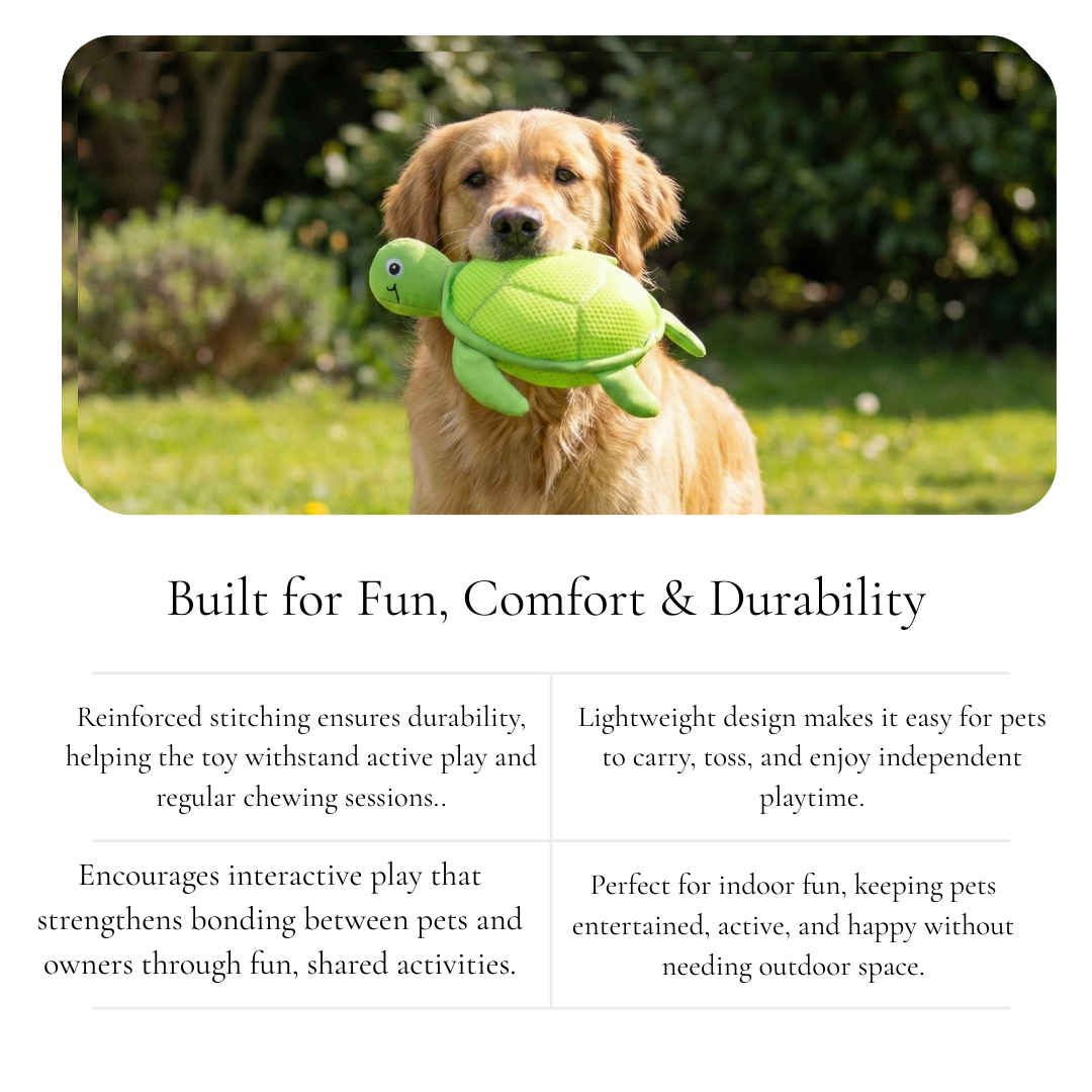 Shelly The Snuggle Turtle Pet Toy