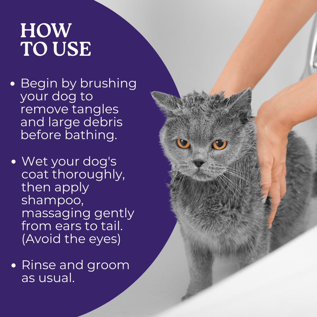 Tick and Flea Shampoo | 200ml