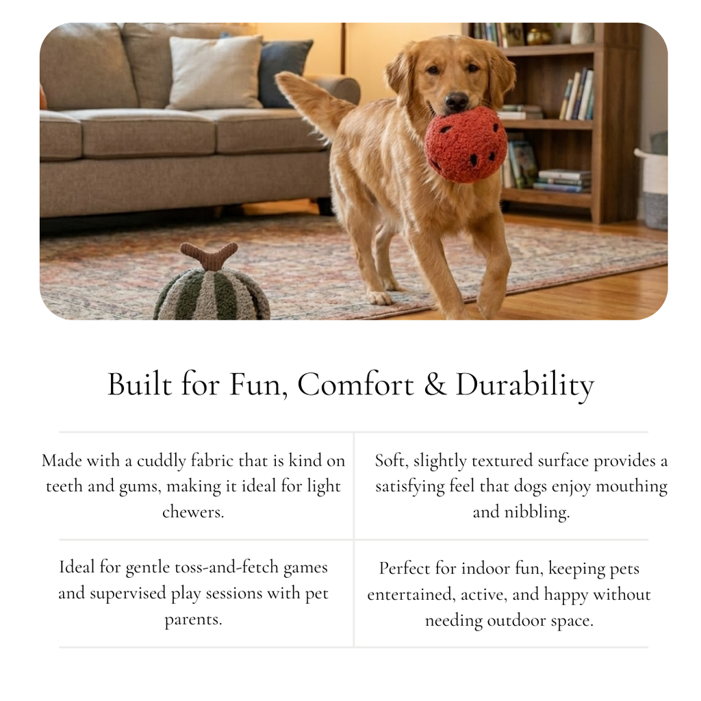 Plush Fruit Ball Dog Toy