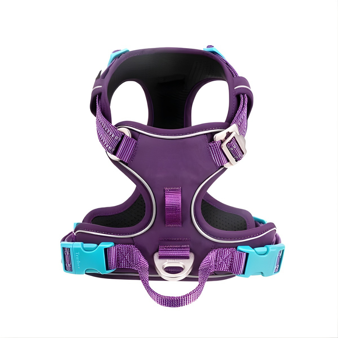 Purple & Turquoise Cordura Harness