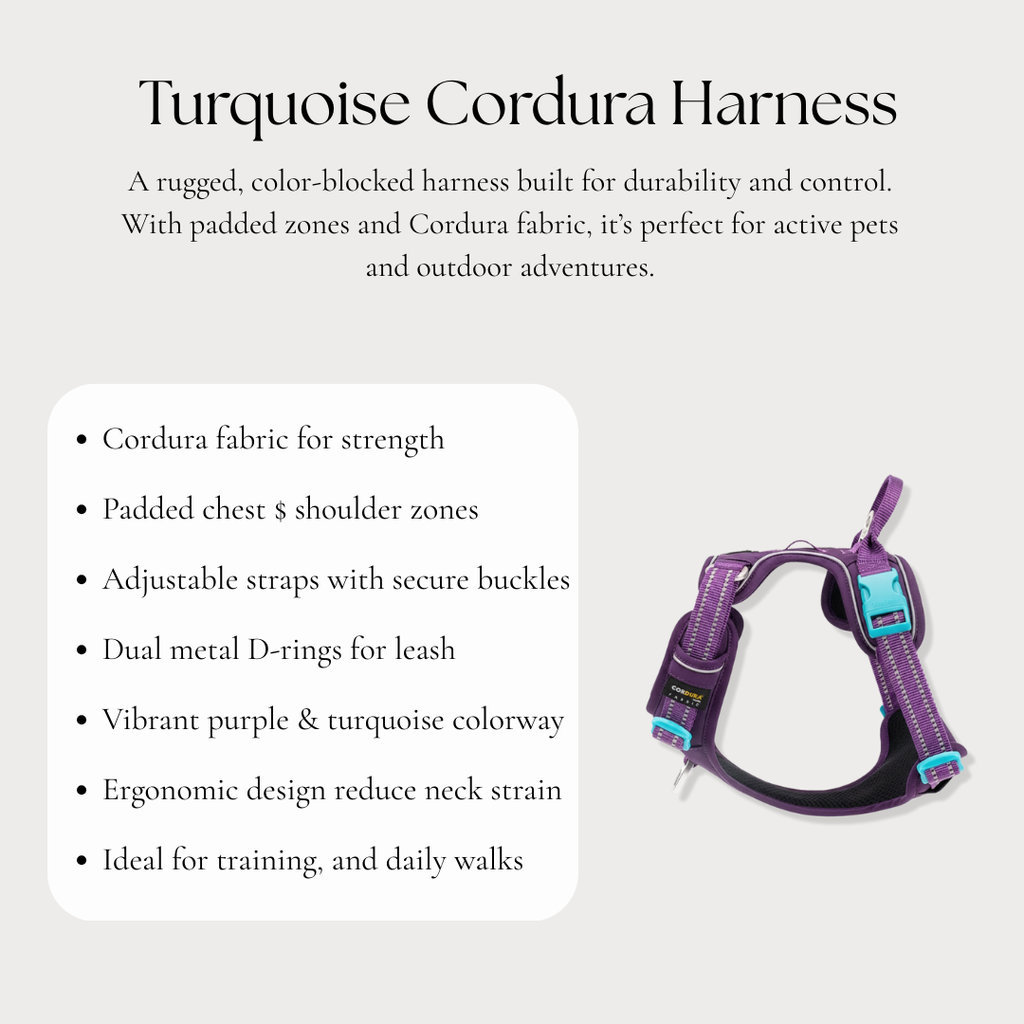 Purple & Turquoise Cordura Harness