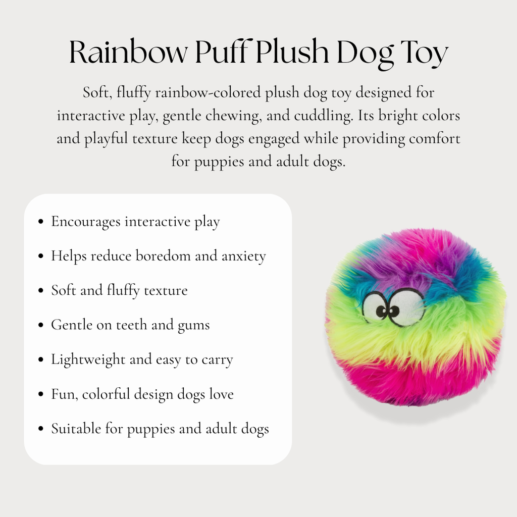 Rainbow Puff Plush Dog Toy
