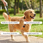 Waudog Leash