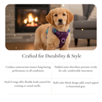 Purple & Turquoise Cordura Harness