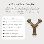 Y-Bone Chew Dog Toy