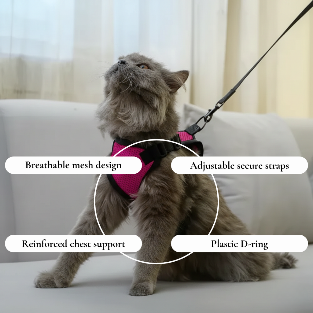 Pink & Black Mesh Pet Harness